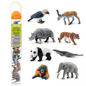 Safari Themenbereiche: Safari Themengebiet Asien 100685