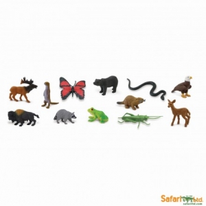 Safari Themenbereiche: Safari Themengebiet In den W�ldern und Wiesen 685504