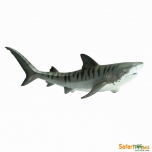 Safari Tigerhai 2022 Seetiere