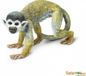 Safari Unglaubliche Kreaturen: Safari Totenkopfaffe 269829