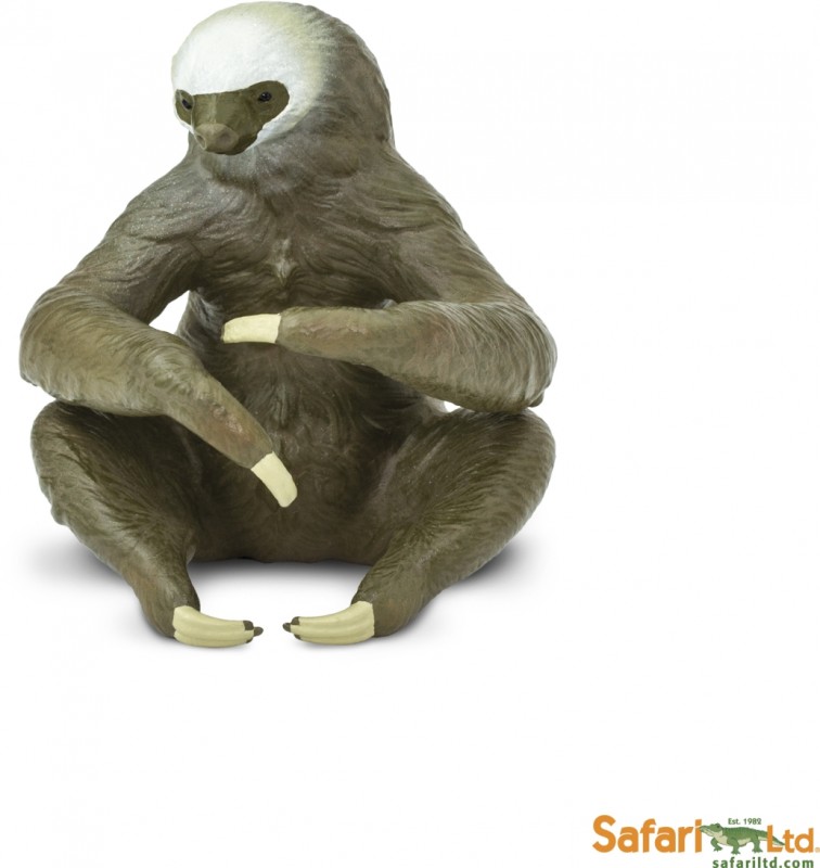Safari Two-Toed Sloth 100117