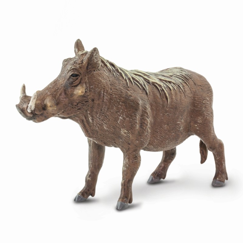 papo warthog