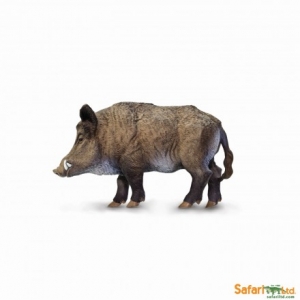 Safari Wildschwein 2242 Waldtiere