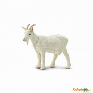 Safari Ziege 1611 Bauernhof