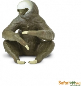 Safari Wildtiere: Safari Zweifinger-Faultier 100117
