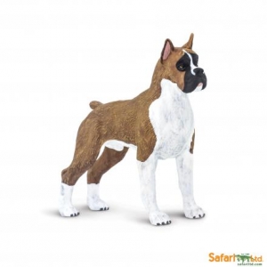 Safari Best in Show: Safari boxer 00062