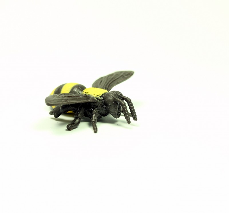 Safari bumblebee 3422e