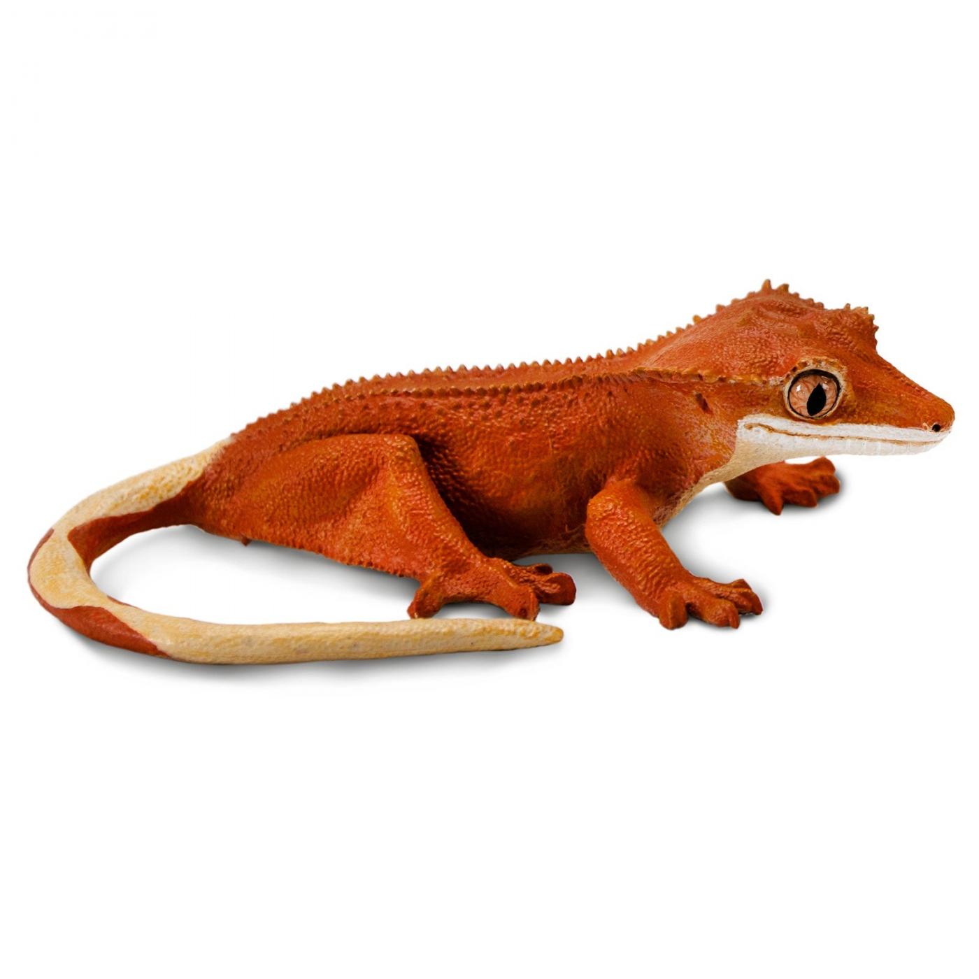 Safari crested�gecko 100344
