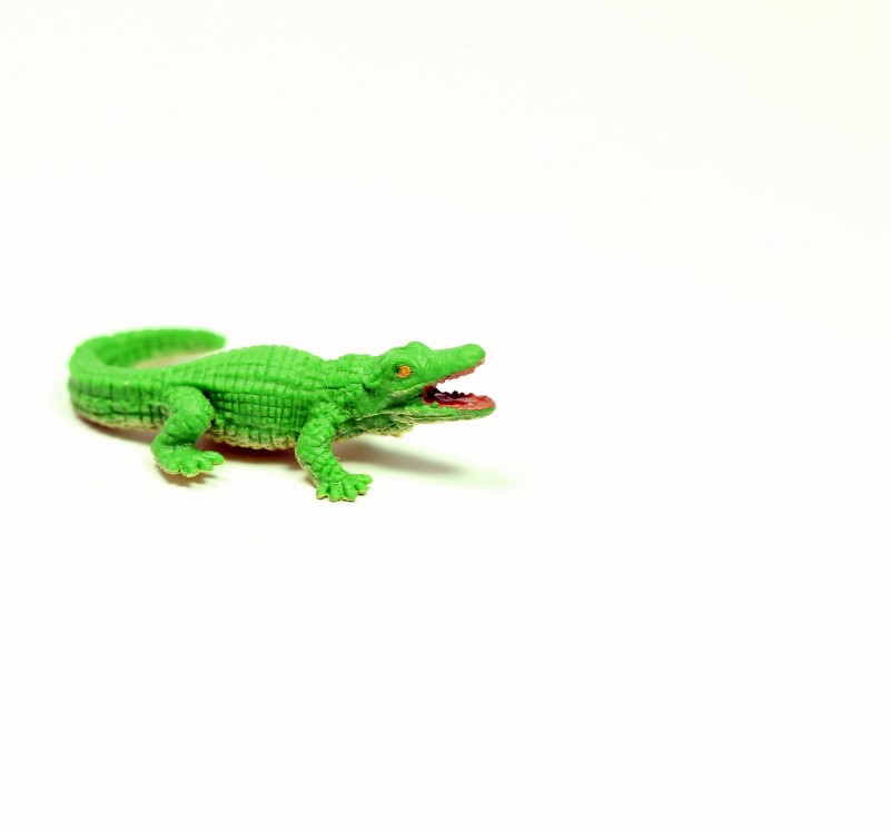 Safari crocodile 3411e
