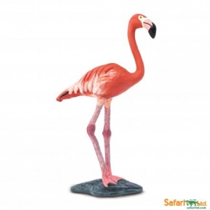 Safari Wings of the Worlds: Safari flamingo 00262