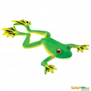 Safari Unglaubliche Kreaturen: Safari fliegender Baumfrosch 00259