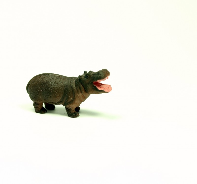 Safari hippo 3430e