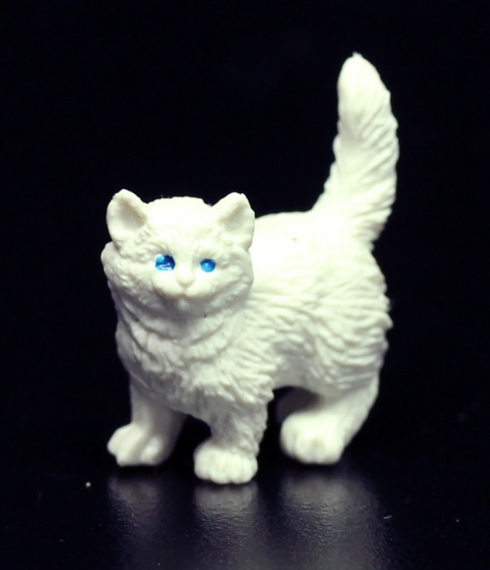 Safari kitten 3496e