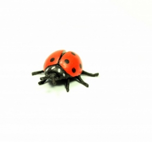 Safari Good Luck Minis: Safari Safari ladybird 3401e