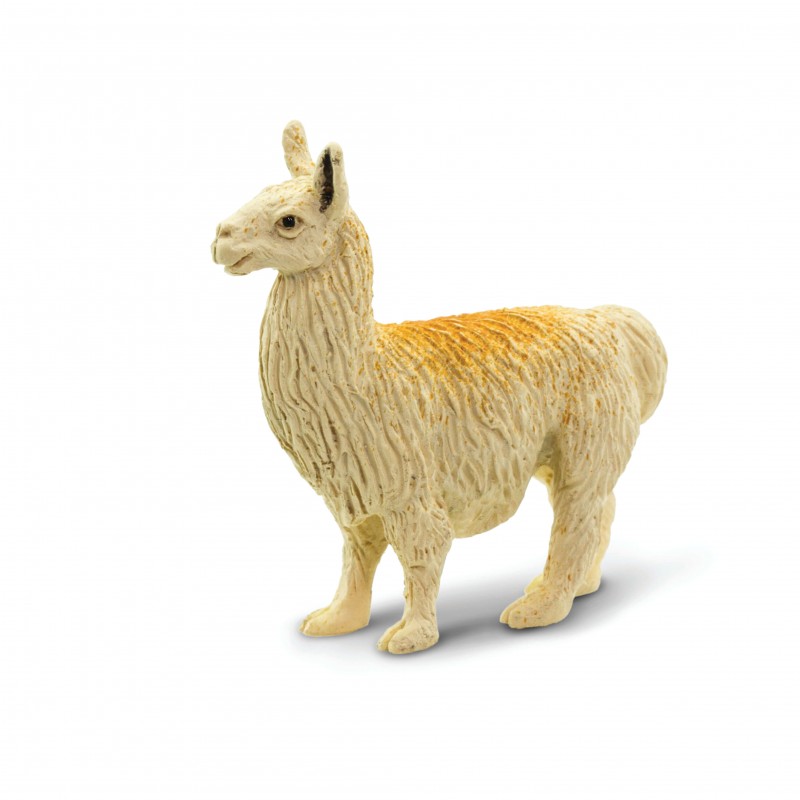 Safari llama 100324