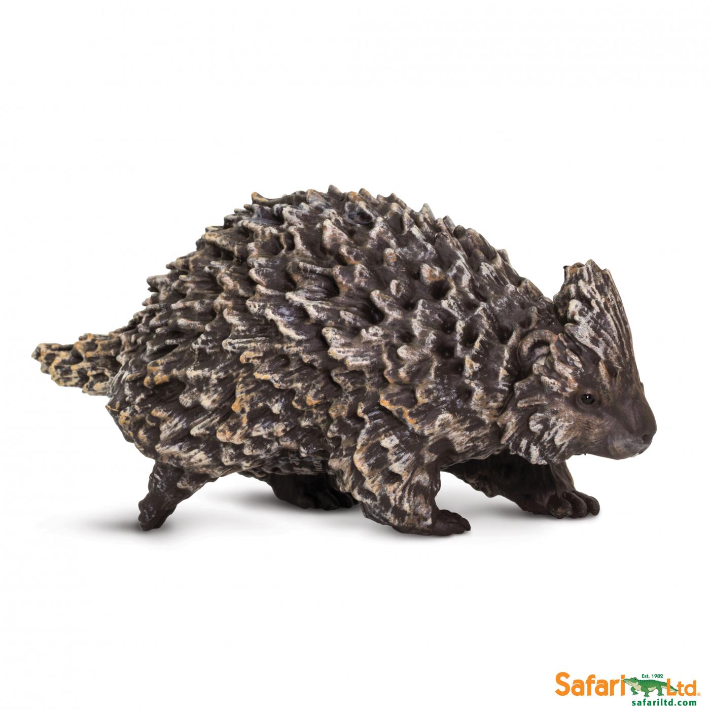 Safari porcupine 229329