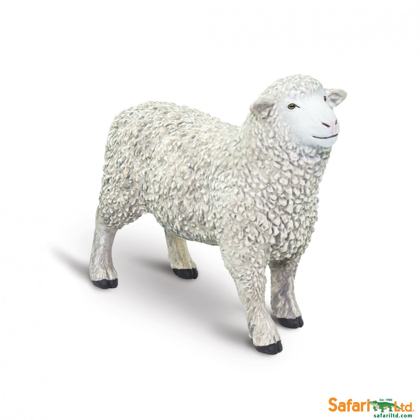 Safari sheep 162429