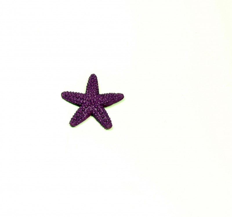 Safari starfish 3444e