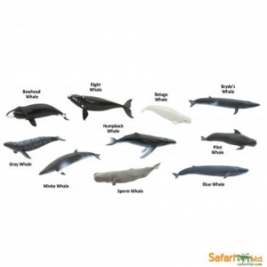 safari ltd cryptozoology toob