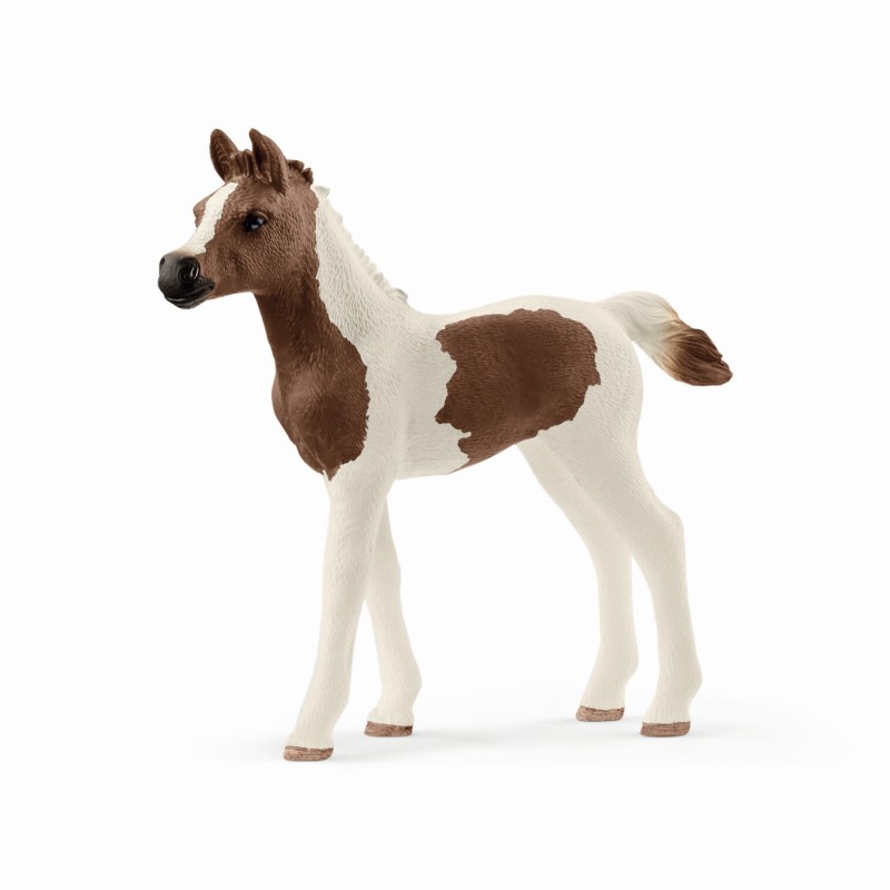 schleich pinto foal