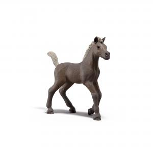 Schleich Horse Club Horses: Schleich Collectible Foal D