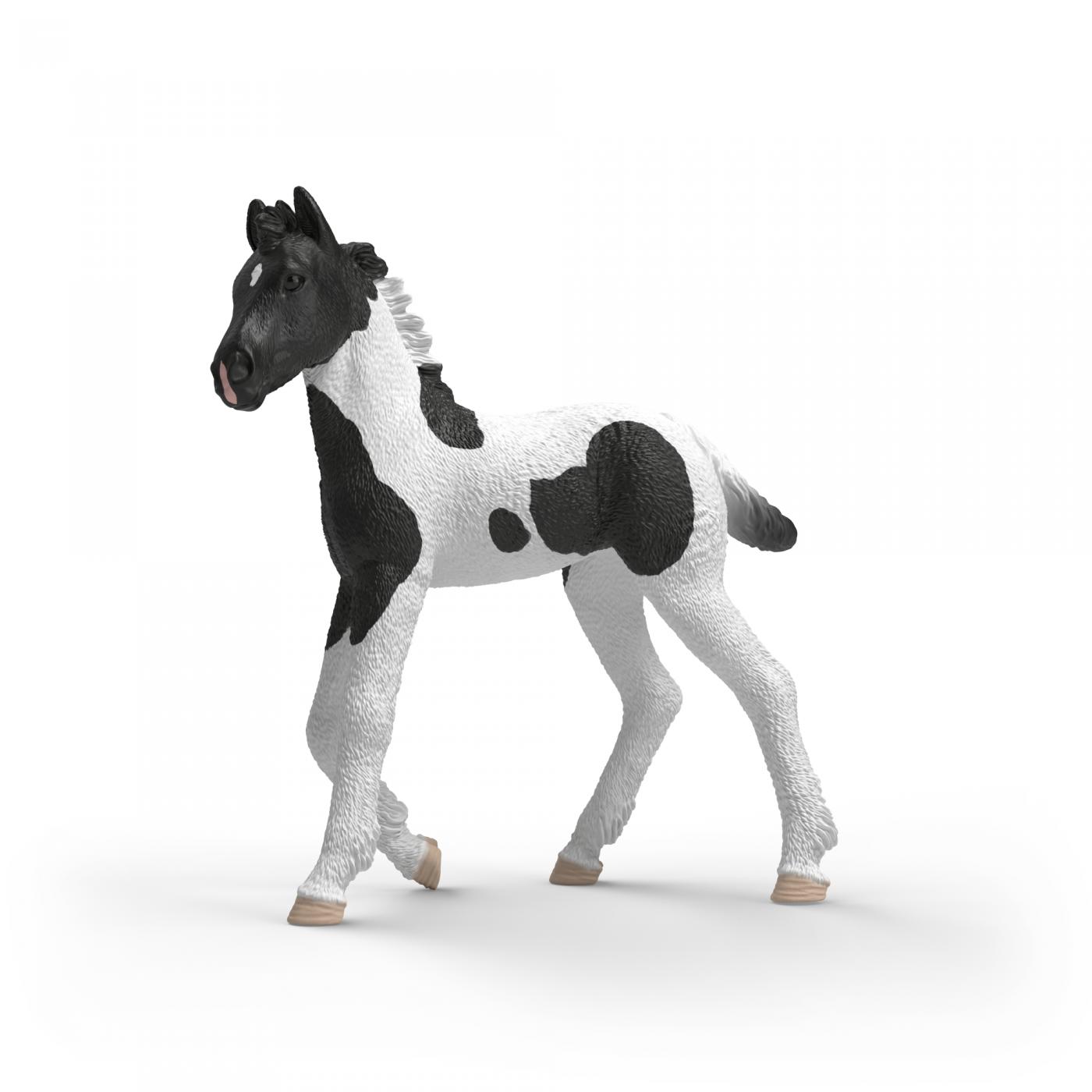 Schleich Collectible Foal Rocky 81481