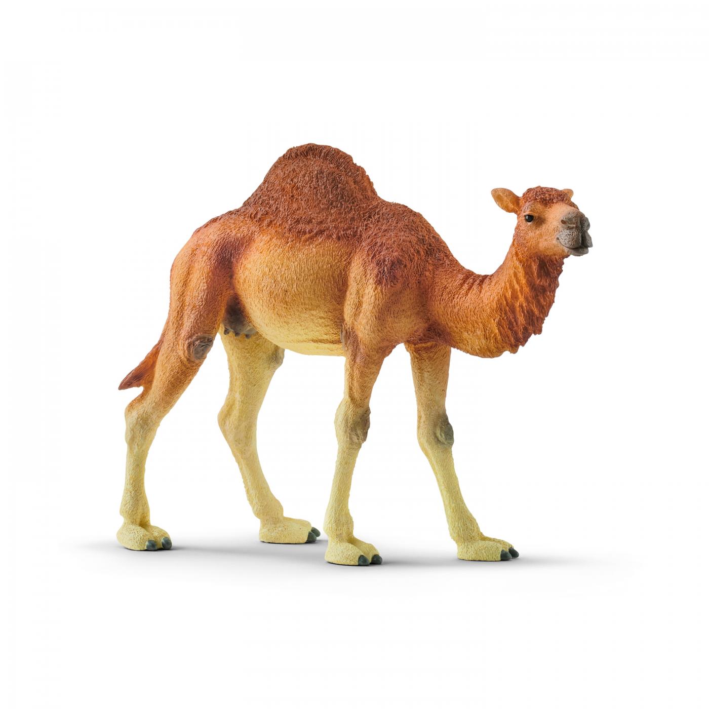 Schleich Dromedar 14832