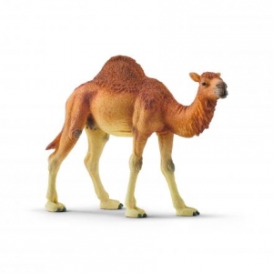 Schleich Wildtiere: Schleich Dromedar 14832