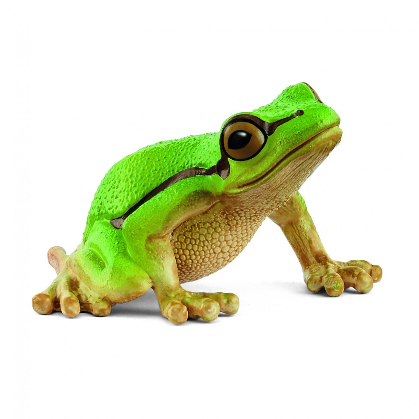 Schleich Europ�ischer Laubfrosch 14882
