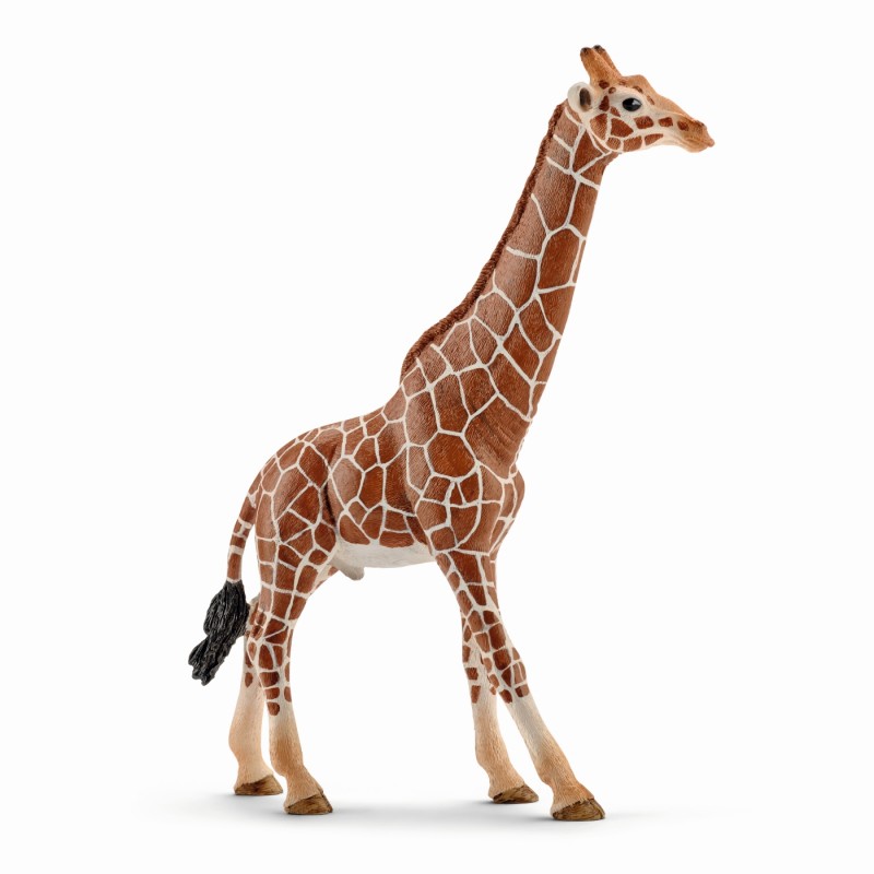 Schleich Giraffe male 14749