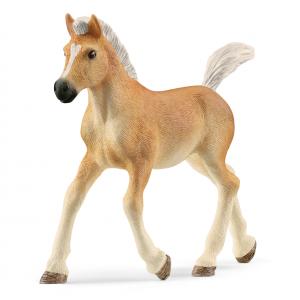 Schleich Bauernhoftiere: Schleich Haflinger Fohlen 13951