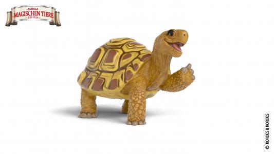Schleich The school of magic animals: Schleich Henrietta the tortoise 14910