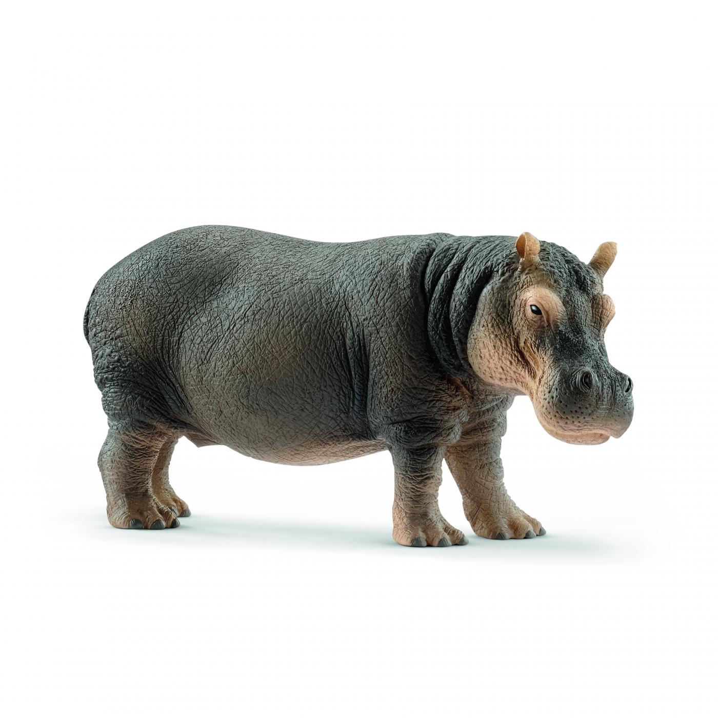 schleich 2019 wildlife