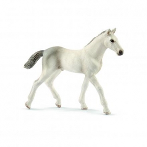 Schleich Horses: Schleich Holsteiner Foal 13860