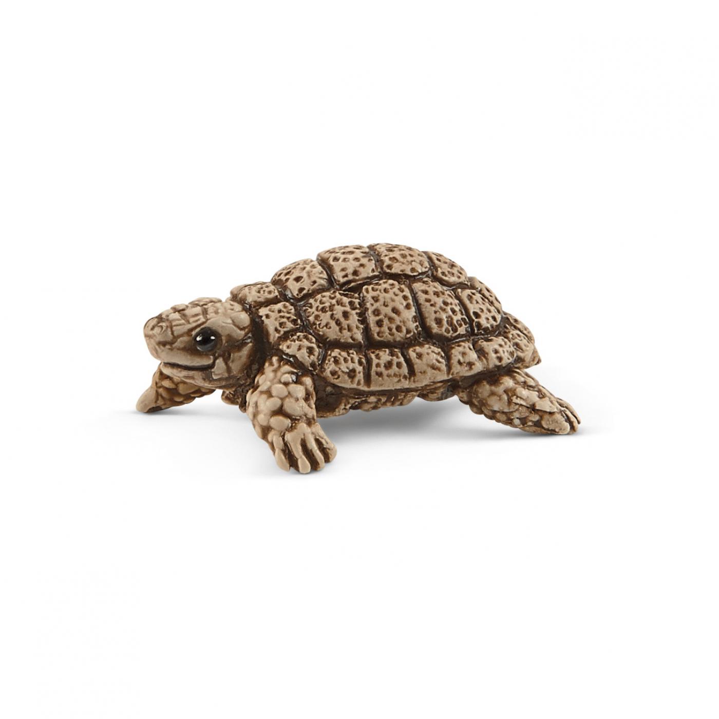schleich tortoise