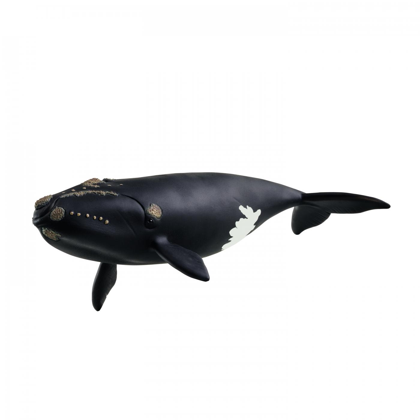 Schleich North Atlantic right whale 14878