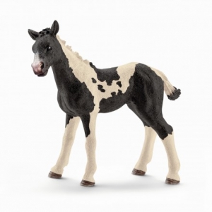 Schleich Pferde: Schleich Pinto Fohlen 13803