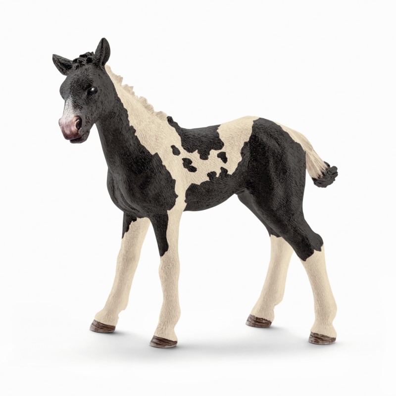 schleich pinto mare
