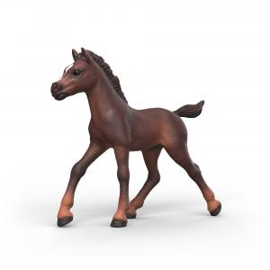 Schleich Pferde: Schleich Sammelfohlen Ravi 81479