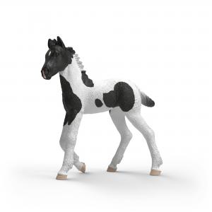 Schleich Pferde: Schleich Sammelfohlen Rocky 81481