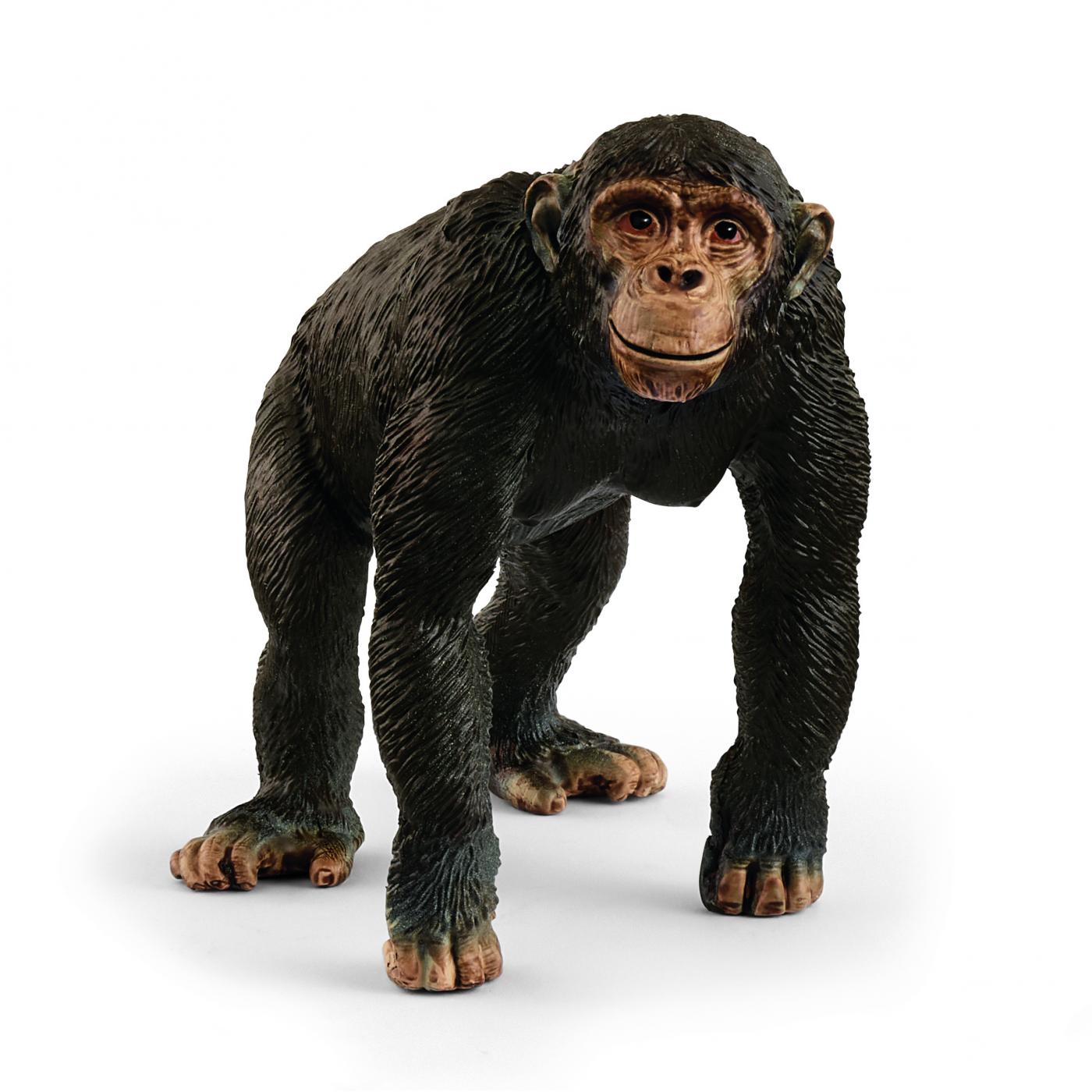 Schleich Schimpanse 14883