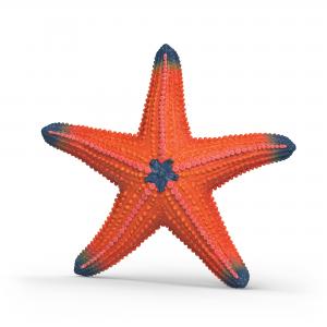 Schleich WildLife: Schleich Starfish with color change 