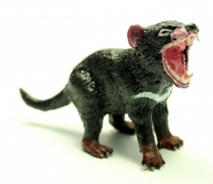 Southlands Australische Wildnis: Southlands Beutelteufel sr00006