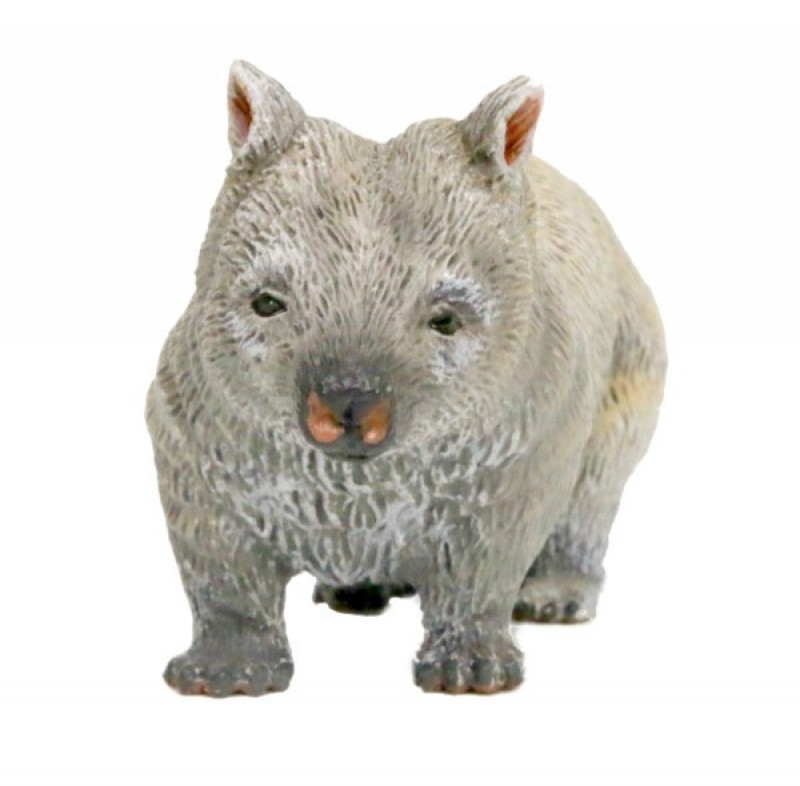 Southlands Australische Wildnis Southlands Südlicher Haarnasenwombat