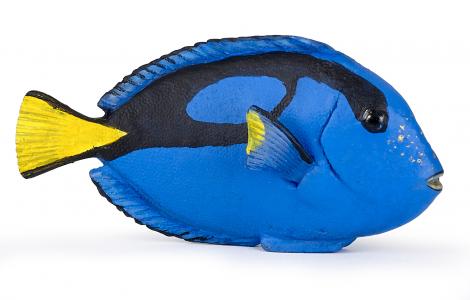 Papo Surgeonfish 56024 Sea Life