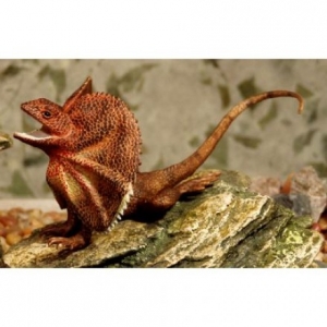 Animals of Australia Kragenechse 78001 ca.17x8cm