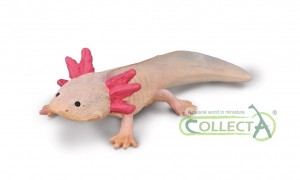 CollectA Axolotl 80015