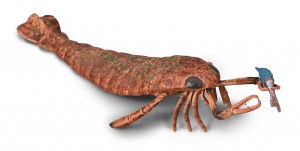 CollectA Jaekelopterus 80030