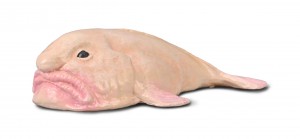 CollectA Blobfisch 80037