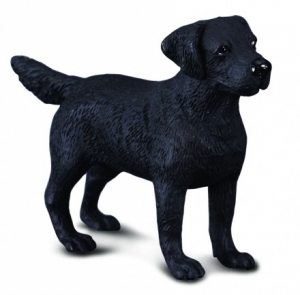 CollectA Labradorhund 88076 ca.9.5x3x6cm